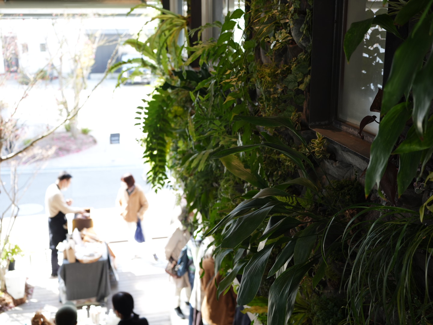 ミナガルテン壁面緑化完成後の様子